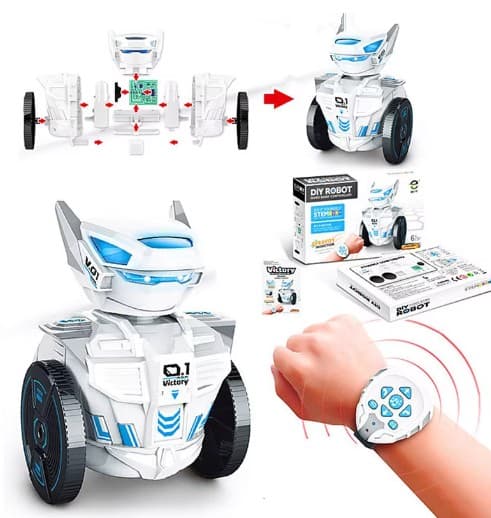 Hand-bot